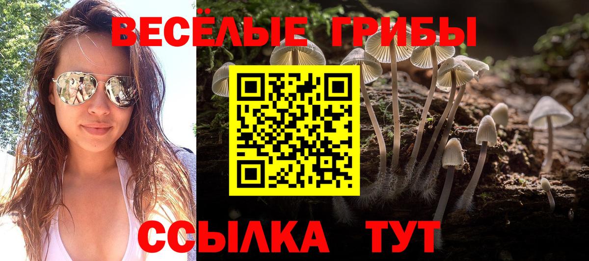 Гулькевичи  Галлюциногенные грибы Cubensis  Псилоцибиновые грибы Cubensis  Вход с VPN 